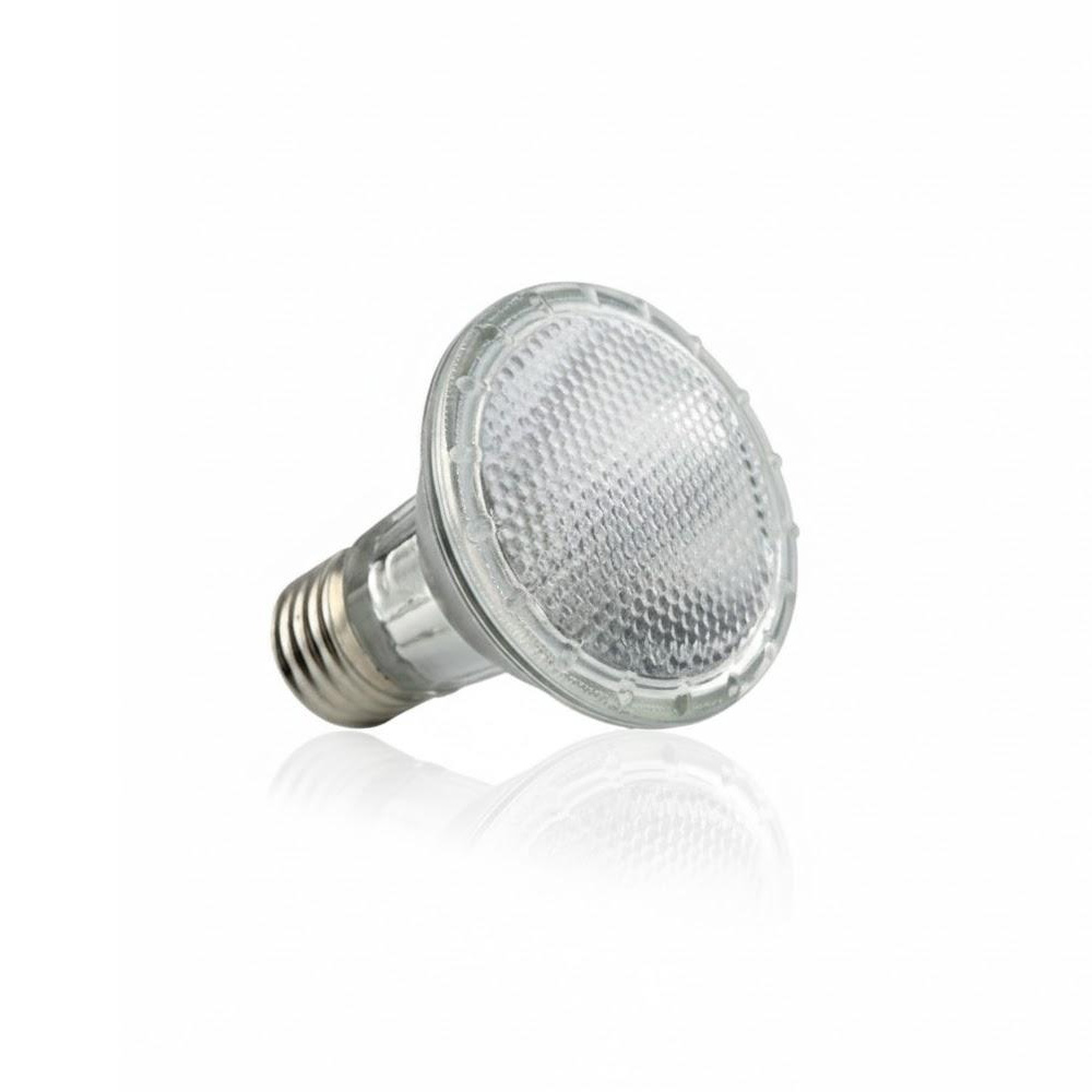 Żarówka halogenowa do terrarium Happet Terra Halogen UVA 35W